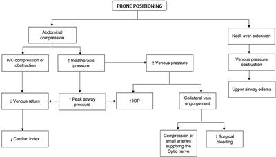 Intraoperative Fluid Management in Patients Undergoing Spine Surgery: A Narrative Review